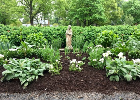 How To Create An All White Garden - Here By Design How To Create An All White Garden - Here By Design on White Garden Design
id=49109